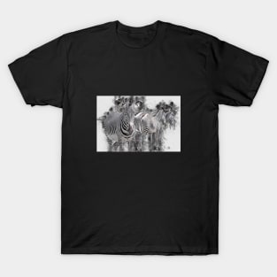 Zebra Wild Animal Safari Africa Jungle T-Shirt